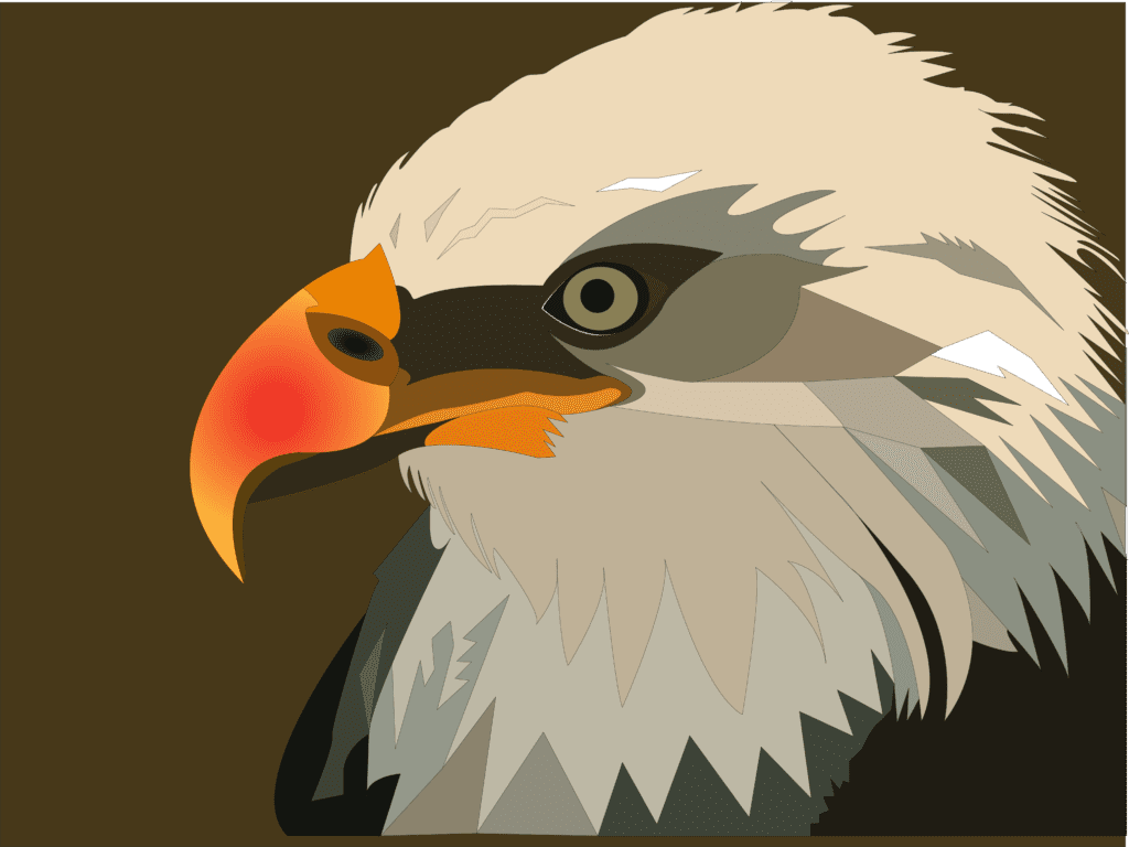 Booking Eagle Art Work By Scarzzy